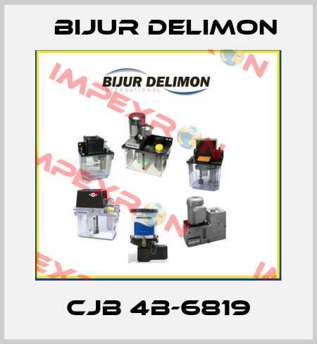 CJB 4B-6819 Bijur Delimon