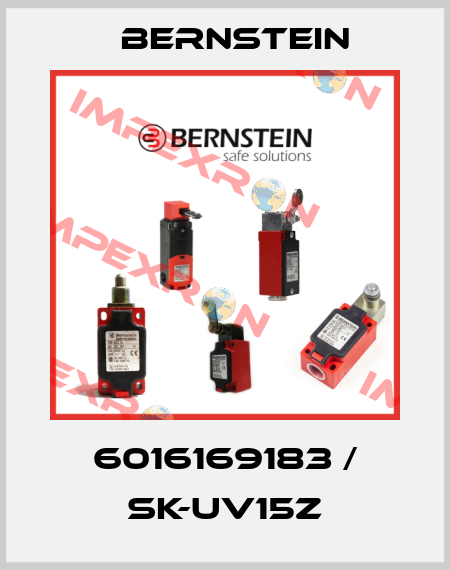 6016169183 / SK-UV15Z Bernstein