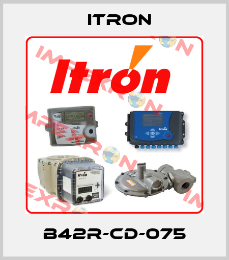 B42R-CD-075 Itron