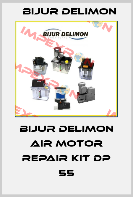Bijur Delimon air motor repair kit DP 55 Bijur Delimon
