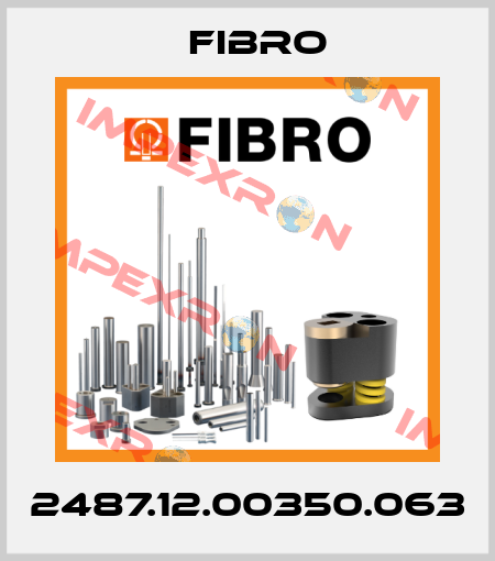 2487.12.00350.063 Fibro