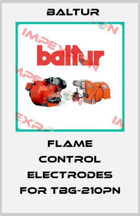 flame control electrodes for TBG-210PN Baltur