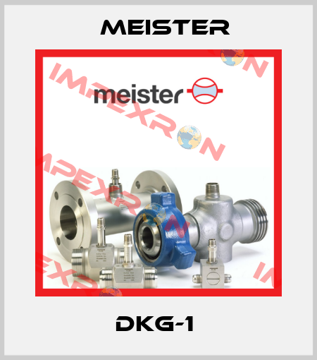 DKG-1  Meister