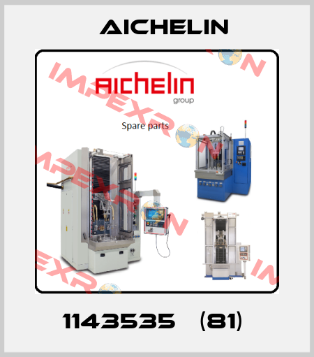 1143535   (81)  Aichelin
