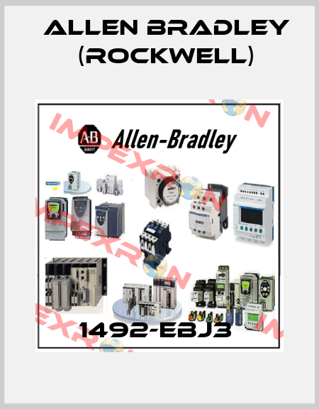 1492-EBJ3  Allen Bradley (Rockwell)