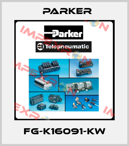 FG-K16091-KW Parker