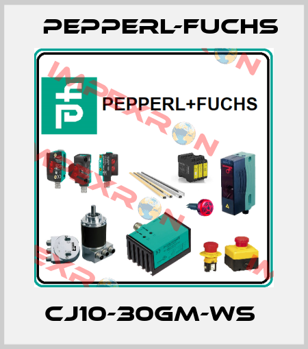 CJ10-30GM-WS  Pepperl-Fuchs