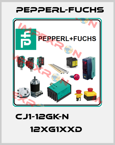 CJ1-12GK-N            12xG1xxD  Pepperl-Fuchs