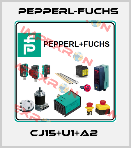 CJ15+U1+A2  Pepperl-Fuchs