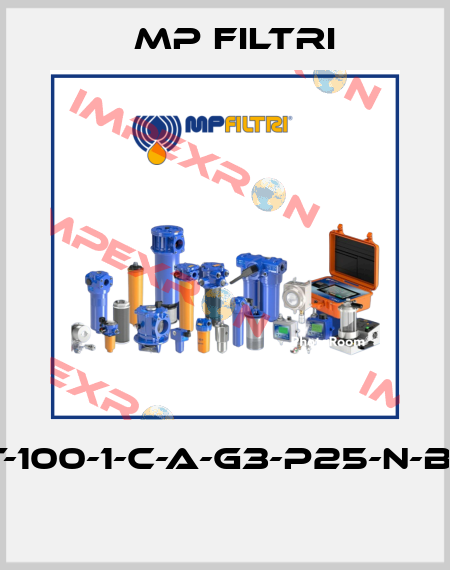 MPT-100-1-C-A-G3-P25-N-B-P01  MP Filtri