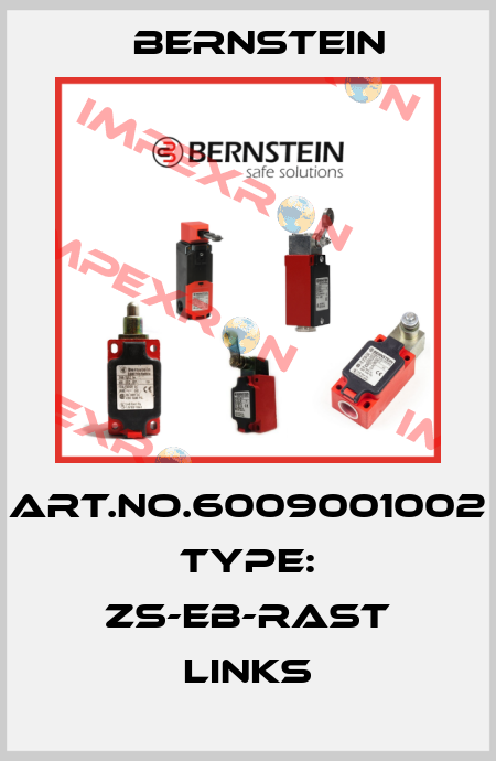 Art.No.6009001002 Type: ZS-EB-RAST LINKS Bernstein