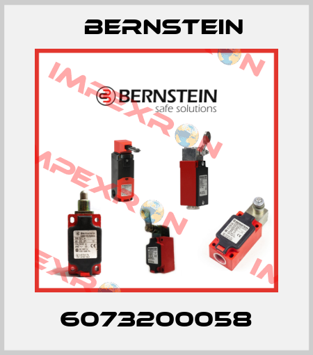 6073200058 Bernstein