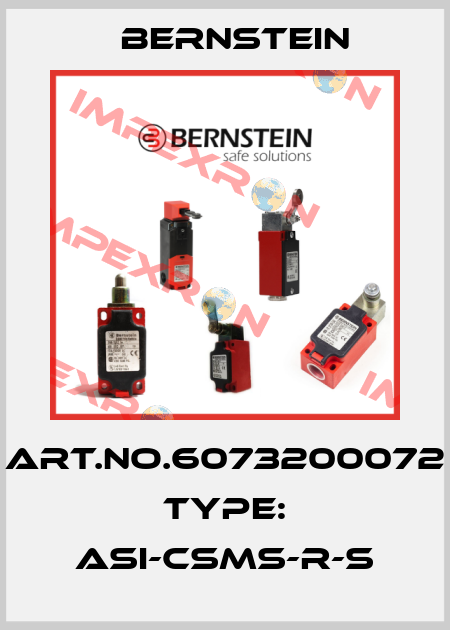 Art.No.6073200072 Type: ASI-CSMS-R-S Bernstein