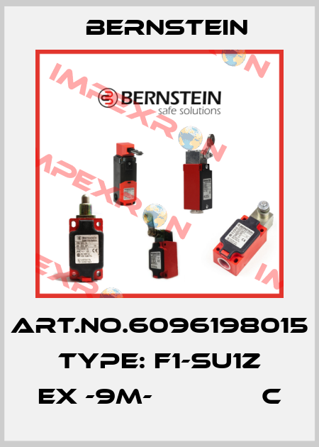 Art.No.6096198015 Type: F1-SU1Z EX -9M-              C Bernstein