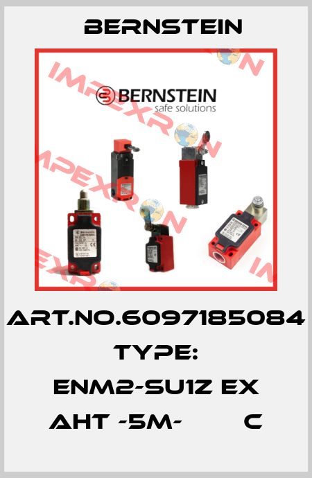 Art.No.6097185084 Type: ENM2-SU1Z EX AHT -5M-        C Bernstein