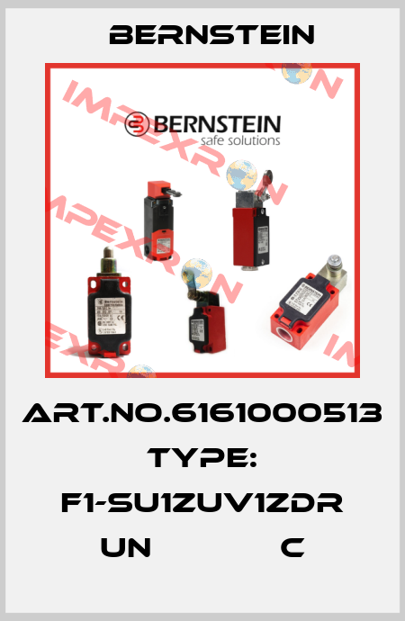 Art.No.6161000513 Type: F1-SU1ZUV1ZDR UN             C Bernstein