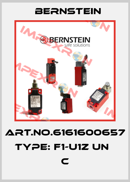 Art.No.6161600657 Type: F1-U1Z UN                    C Bernstein