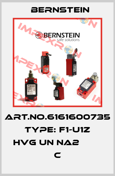Art.No.6161600735 Type: F1-U1Z HVG UN NA2            C Bernstein