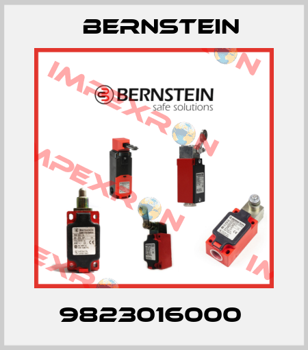 9823016000  Bernstein