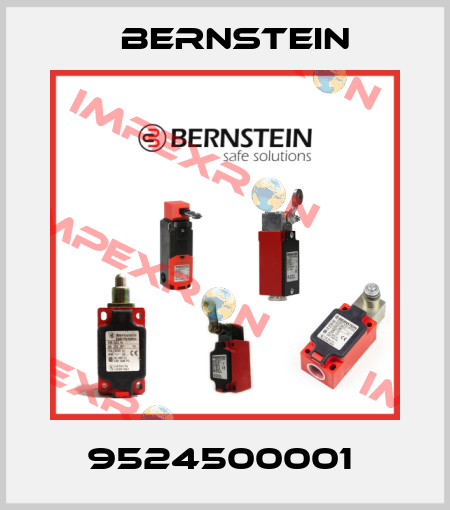 9524500001  Bernstein