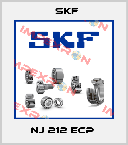 NJ 212 ECP  Skf