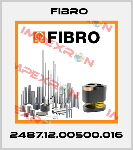 2487.12.00500.016 Fibro