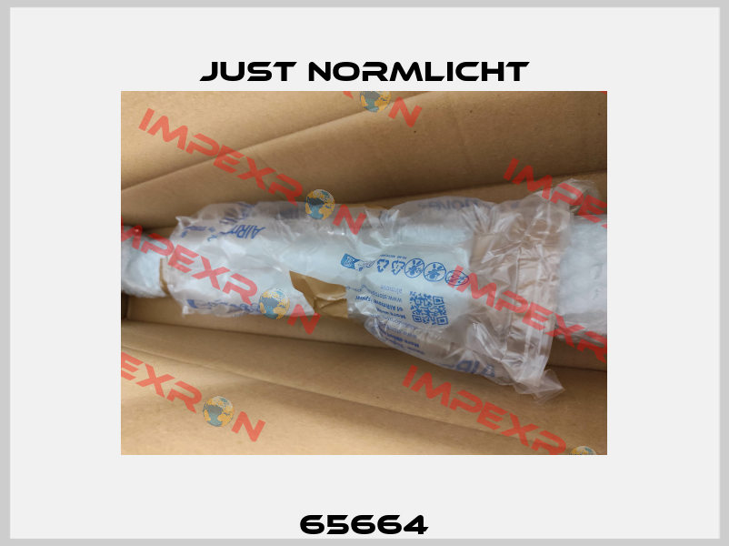 65664 Just Normlicht