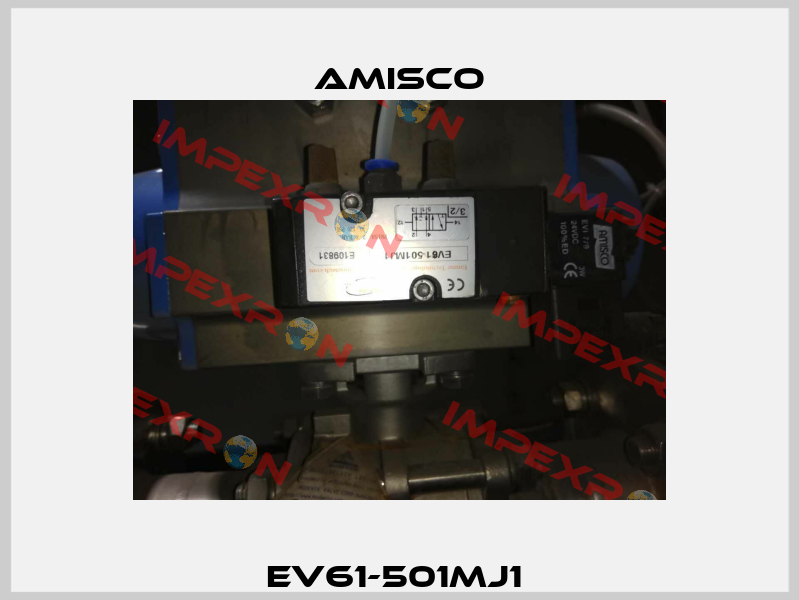 EV61-501MJ1  Amisco