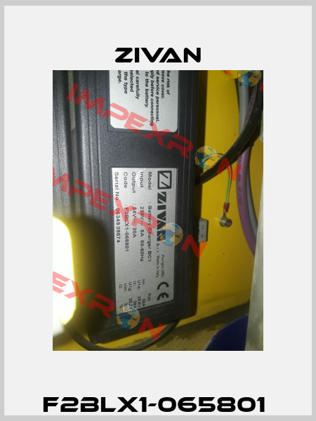 F2BLX1-065801  ZIVAN