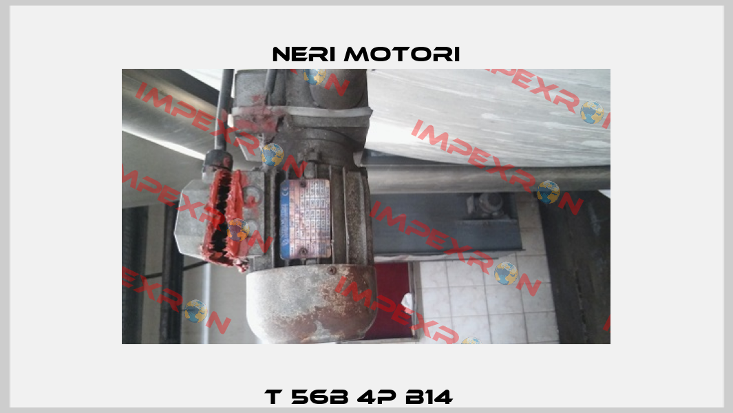 T 56B 4P B14   Neri Motori