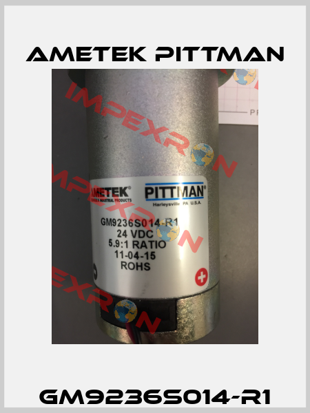 GM9236S014-R1 Ametek Pittman