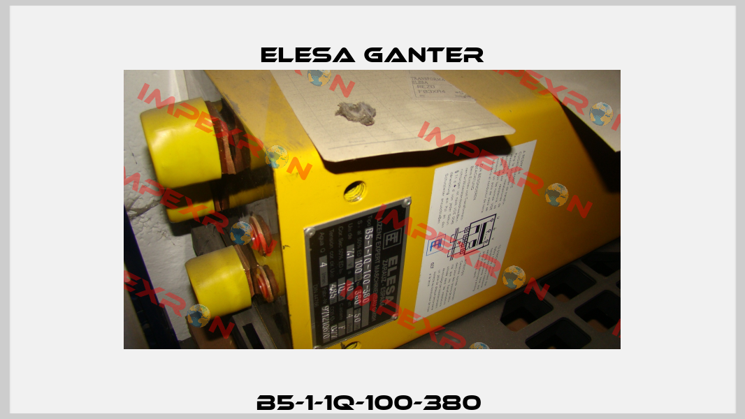 B5-1-1Q-100-380  Elesa Ganter