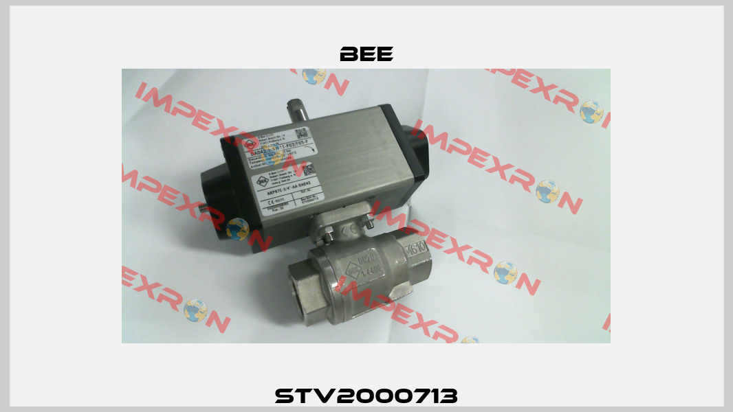 STV2000713 BEE