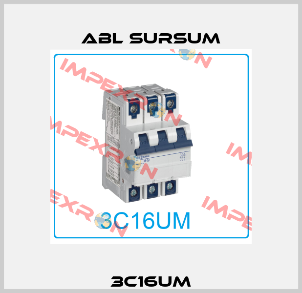 3C16UM Abl Sursum