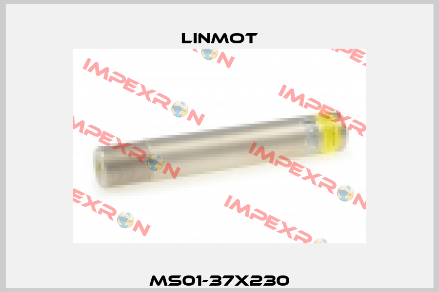 MS01-37x230 Linmot
