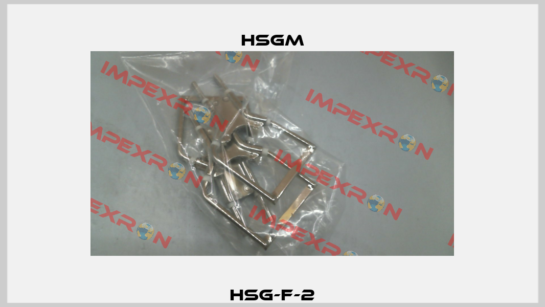HSG-F-2 HSGM