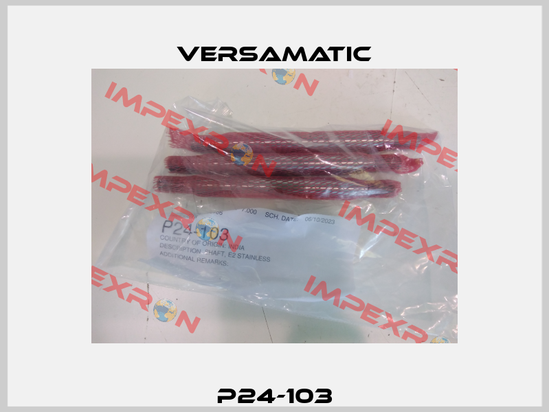 P24-103 VersaMatic
